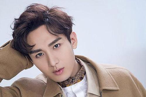 成毅娱乐消息爆料视频是真的吗,成毅娱乐爆料视频真实性揭秘